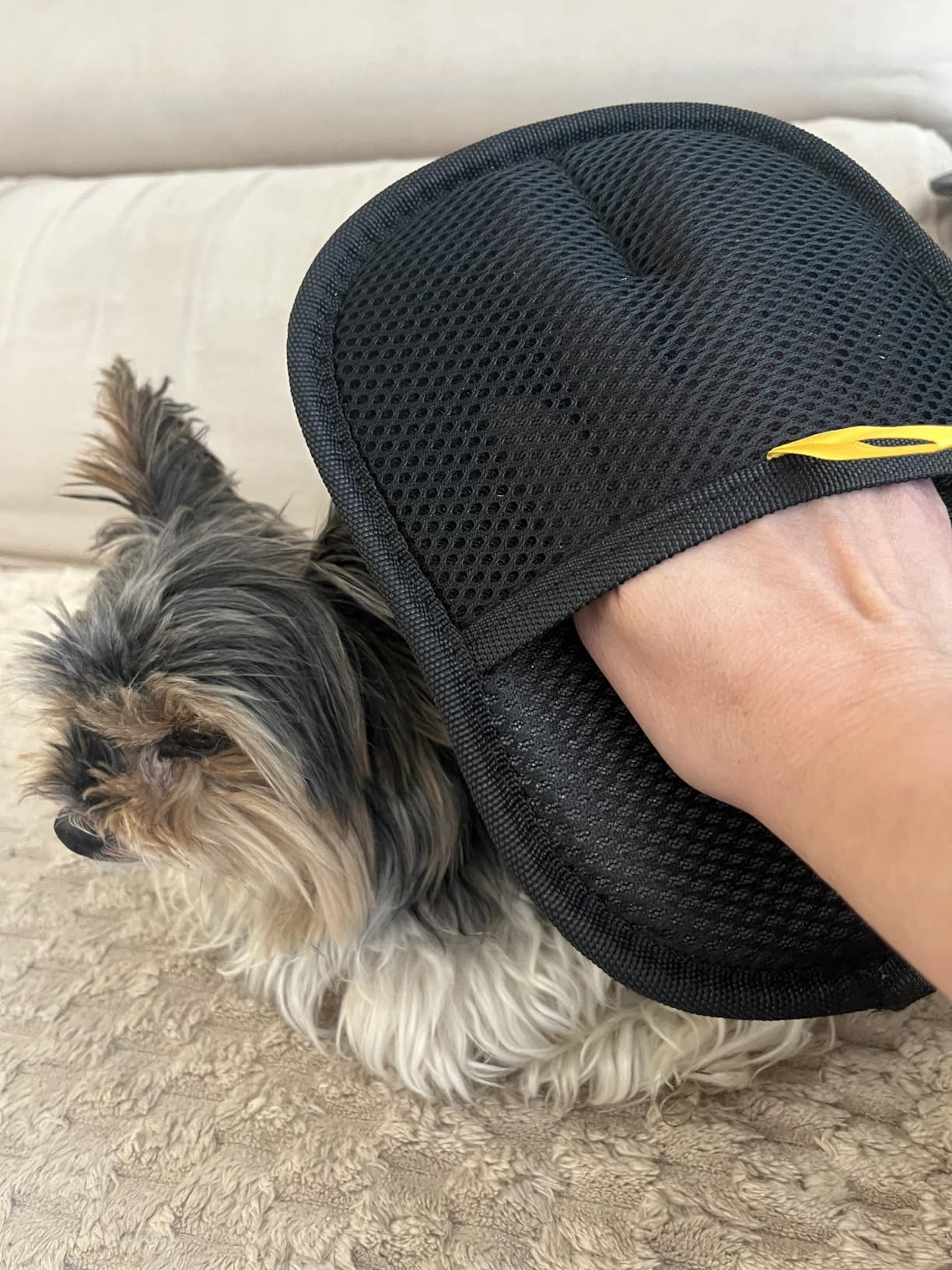 Guante PetClean™ — Sin pelos en segundos